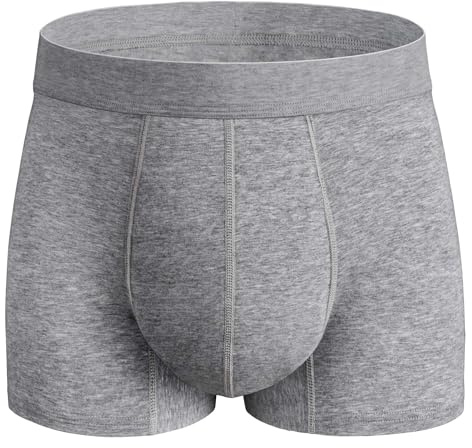 REELINDRY Washable Incontinence Underwear for Men, 2.3 oz Leak Proof Absorbent Protective Briefs for Bladder Control 1 Pack (Gray, L)