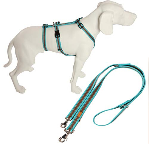 Feltmann No Exit ausbruchsicheres Hundegeschirr für Angsthund, Panikgeschirr, Soft Grip, türkis/braun, Bauchumfang 70-90 cm, 25 mm Bandbreite, inkl. passender Führleine 210 cm