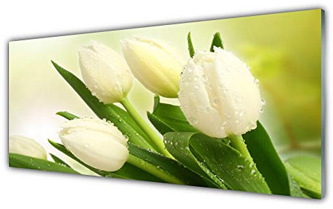 Tulup Acrylic Glass Print 125x50cm Wall Art - Wall Picture Plastic Acrylic Glass - Tulips Floral
