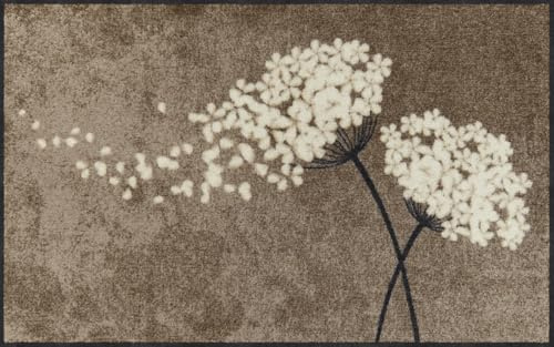 Salonloewe - - 75 x 120 cm