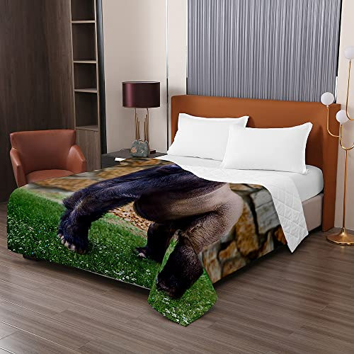 Odot Colcha Bouti de Verano, 3D Gorila Estampado Suave Microfibra Multiusos Cubrecama Lavable Acolchada Edredón Manta para Cama de Infantil Individual Matrimonio (130x150cm,Margarita)