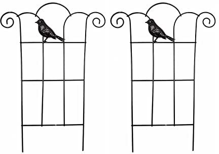 Flueyer 2 Pcs Plant Trellis for Climbing Plants outdoor, Black Coated Fan Pot Trellis with Bird Garden Metal Support Stake for Indoor Outdoor Vines Flower Vegetable
