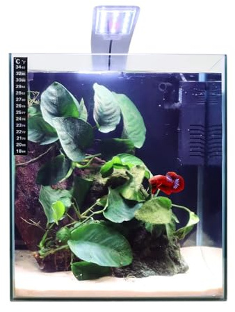 Swell Cube Aquarium 28cm Tropical Freshwater LED Fish Tank Kit 25ltrs
