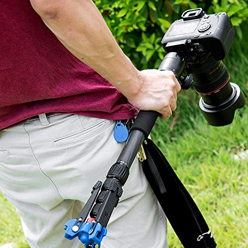 aqxreight C-333 + M-1 Canne d'alpinisme pour Trépied Monopode Télescopique Extérieur Portable en Fibre de Carbone pour Appareil Photo Numérique Longueur Maximale 50 à Cm 5 et Monopode Léger