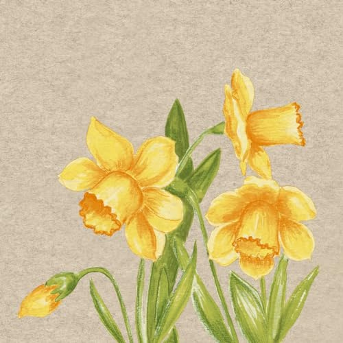 25 nachhaltige Servietten aus Recycling-Papier Blumen Natürliche Narzissen als Tischdeko. Papierservietten mit Motiv. Ökologisch nachhaltige Deko aus recyceltem Papier. 33x33cm