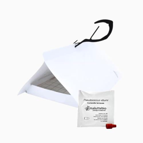 Piège à phéromones + 1 Sachet phéromones Cochenille farineuse - Traitement Anti cochenilles farineuses