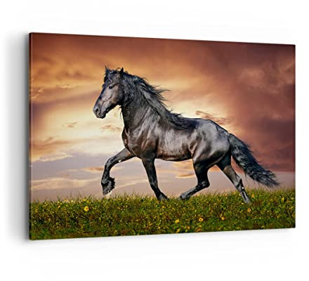 ARTTOR Bilder auf Leinwand 120x80cm Wandbild Natur Tiere - 2608 | Pferd Tier Wiese Groß XXL Wanddekoration Wohnzimmer Schlafzimmer Küche Wanddeko Wand Kunstdruck Wandkunst Wall Decor ARTTOR