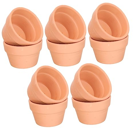 BESPORTBLE 10piezas Maceta De Roja para Suculentas y Plantas De Decoración para Jardín y Oficina para Crear Jardines De Escritorio