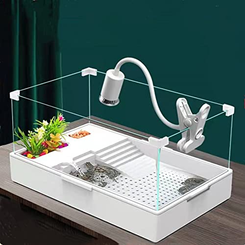 Geegoods Schildkröten-Aquarium, Reptilien-Aquarium, Terrapin-See mit Wasserpumpe, für Haustier, Schildkröten, Reptilien, Lebensraum