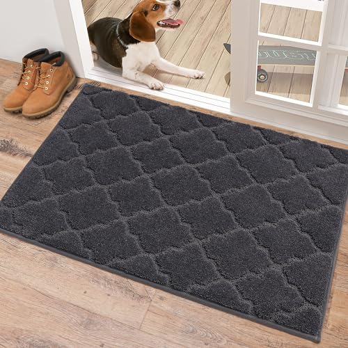 COSY HOMEER Front Door Mat 60x90 CM, Dirt Trapper Floor Mat, Polyester Welcome Door Mat for Kitchen Room Office Entryway Doors, Absorbent Non-Slip Indoor Floor Doormat, Machine Washable, Dark Grey