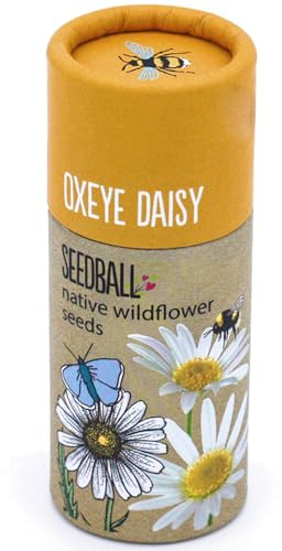 That's Crackers! Oxeye Daisy | Luxury Tube of 20 Seedballs | Cracker Filler | Little Gift