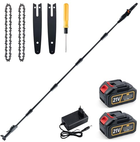CHANGEMOORE Akku-Hochentaster 21 V, Hochentaster Elektrisch 15 cm Schwertlänge, 10 m/s Kettengeschwindigkeit, 4,25 kg, 2 Ketten, 2,65m Stange, Inklusive 2 Batterien und Ladegerät