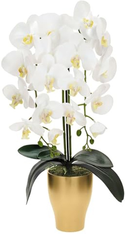 TreesHouse Premium Orchideen Künstlich XL 60cm I Künstliche Orchideen wie Echt I Blumen Deko I Künstliche Orchidee im Topf I Hergestellt in der EU I 2 Stängel - 18 Blüten, Weiß (Goldener Blumentopf)