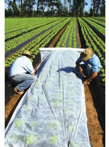 F & R Gartenvlies zur Abdeckung von Gemüsebeeten 17 g/m² I Gartenvlies wasserdurchlässig I Pflanzenvlies I Frostschutz Pflanzen Winter I Vlies Frostschutz I Pflanzenschutzfolie I 2,1m x 50m