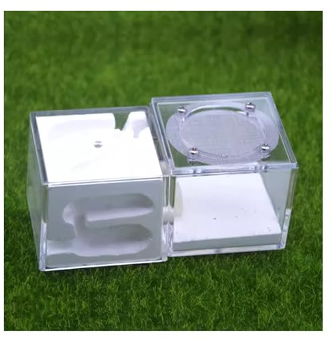 AZHKJKZH Ameisen Terrarium Ameisenfarmschloss Ameisenburg Acrylameisennest Gipsameisennestfarm Acrylnestpalast Ameisenfarm Zubehör(White)