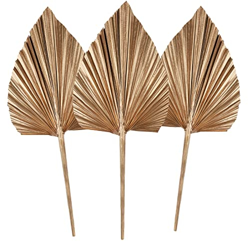 3Pcs Dried Palm Leaves,Natural Dried Palm Spears,Small Dried Palm Fan Colour Palm Spears Plant with Stem Boho Home, Party ,Wedding,Wall,Cake ,Decorating,DIY bouquet Arrangement
