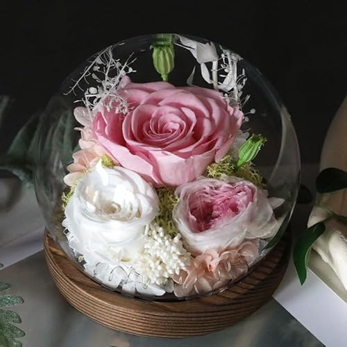 Gugxiom Forever Rose in Glass Dome with LED Light, Eternal White Rose(Pink) | Preserved Long-Lasting Real Flowers Unique Gifts for Mother's Day Valentine's Day, Christmas, for Wife Girlfriend Mom