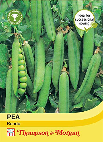 Thompson & Morgan - Vegetables - Pea Rondo - 200 Seed