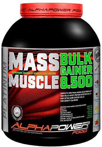 ALPHAPOWER FOOD Maas - Whey, Muscle Weight Gainer I Mega, Muskelmasse & Muskelaufbau - Protein - Eiweiß, Kohlenhydrate – Pulver - Shake für Hardgainer, 2kg Schoko + Creatin, Bcaa, MCT Öl