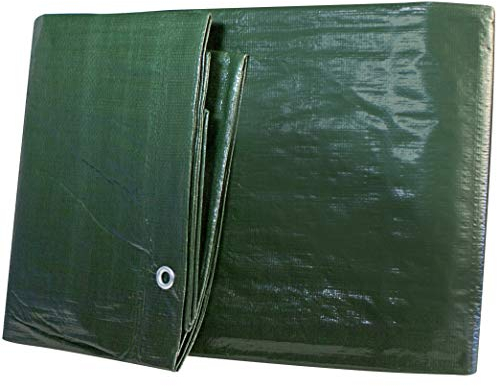 Windhager Bâche de Protection légère - 80 g/m² - 4x6 m - Vert