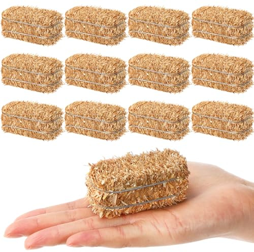 Maasechs Mini-Heuballen, Miniatur-Heuballen zur Dekoration, kleiner dekorativer Strohhalm für Oster-Szene, rustikale Hochzeit, Western-Cowboy-Thema, Geburtstagsparty-Dekorationen (6,6 x 3,1 x 3,1 cm)