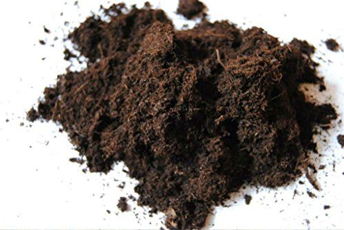 Reiner Weißtorf für fleischfressende Pflanzen naturbelassen, 60 Liter | Bodenverbesserung, ungedüngt, naturbelassen
