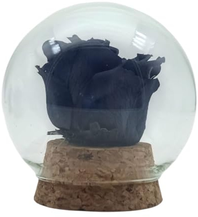 Genérico Rosa eterna nera. Cupola in vetro. Rosa eterna nera. Fiori conservati Neri. Regalo originale. Prodotto in Spagna.