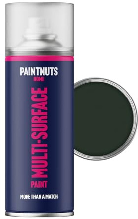 Paintnuts Dark Green (RAL-6009) Rapid Dry Metal Paint, Satin Finish 400ml Aerosol