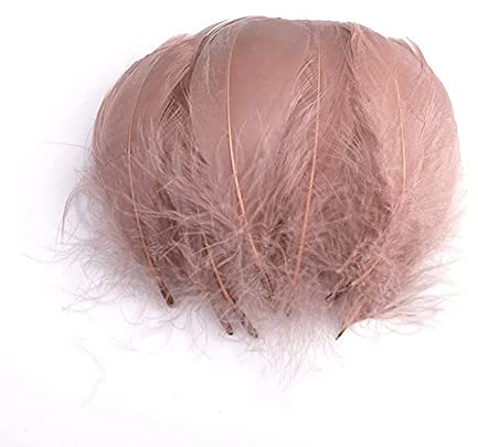 100 Stück Bunte Feder zum Basteln Naturfedern Gänsefedern Indianer Bastelfedern für DIY Kunstwerk Masken Hüte Ohrringe Haarschmucken Traumfänger Hochzeit Karneval Party Dekoration,7-12cm Braun