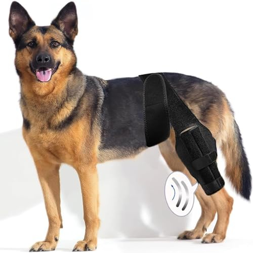 Kniebandage für Hunde, Ellenbogenschutz für Hunde, Ellenbogenbandage Hund Vorderbein/Hinterbein, für gerissenes ACL-Hinterbein, verhindert das Lecken von Wunden (L)