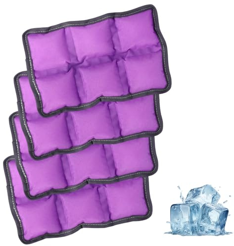 4uds Bolsas Hielo Reutilizables para Lonchera, Loncheras Reutilizables Larga Duración Congelar Accesorios Prácticos Enfriadores para Senderismo Camping Pesca (Morado)