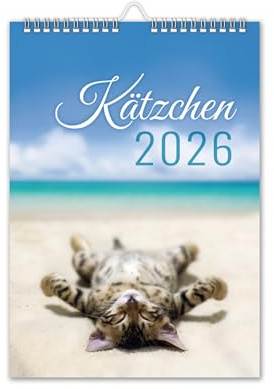 Calendrier 2026 - Calendrier mural - Format A4 - Avec vacances scolaires - Motif chats - Motif animaux V6