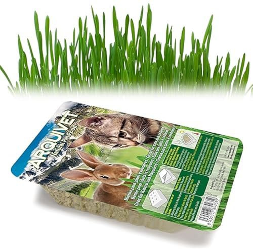Arquivet Hierba para Gatos en Bandeja