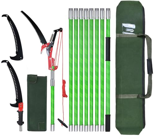 Sega da potatura con manico da 8 m, lunghezza regolabile, set di attrezzi da giardino, palma, asta ad alta capacità con custodia, taglia in modo pulito e veloce per rami alti (include forbici B)