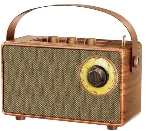 FREEFISH Portable Retro Speaker Bluetooth Radio Vintage Decor with FM Radio Rich Bass Bluetooth Speakers 5.3 Wireless Connection,TF Card, AUX for Home Office Bedroom