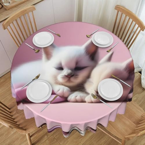WapNo Tovaglia rotonda con motivo due gattini che dormono 152 cm, per casa, cucina, sala da pranzo, patio, uso interno ed esterno