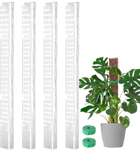 Hjatirace Tutore Per Monstera | Bastoni Di Sostegno Per Piante Da Appartamento | Bastoni Per Piante In Vaso | Per Interno Ed Esterno Giardini Portici Prati Balconi E Terrazze
