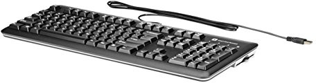 HP USB SmartCard CCID Keyboard (DE)