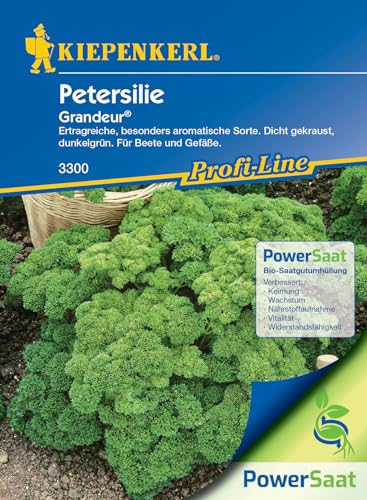 Kiepenkerl Profi-Line Petersiliensamen Grandeur, PowerSaat, Kräutersamen, Saatgut für 50 Pflanzen, Kräuter Samen für Balkon, Garten, Kübel, Anzucht, Kräuterbeet, Kräutergarten, Kräuter Pflanzen