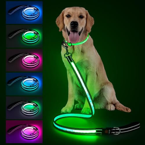 LED Hundeleine, Leuchtende Hundeleine Wiederaufladbar mit 7 Leuchtmodi, Reflektierende Hundeleine mit USB-C, Doppelseitigem Licht, Gepolstertem Griff und 360° (1,2 m / 4 ft)