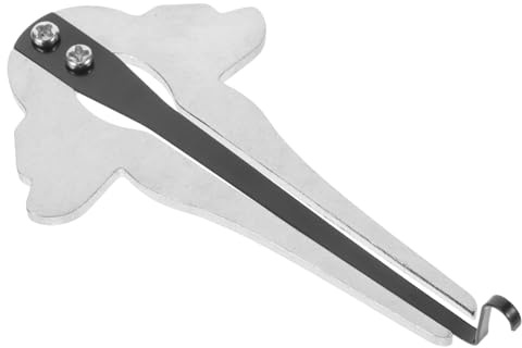 Maultrommel Mundmusikinstrument aus Metall, Silber, Tragbar | Klare, Knackige Klänge, Leichtes Format, für Meditationspraxis und Entspannung
