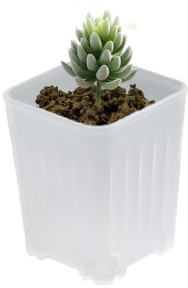 Generisch Anzuchttöpfe Für Pflanzen,Mini Pflanzgefäß - 10er-Set Kleine Anzuchttöpfe Mit Drainagelöchern Für Sukkulenten Und Stecklinge Für Schreibtisch Garten Wohnung Balkon