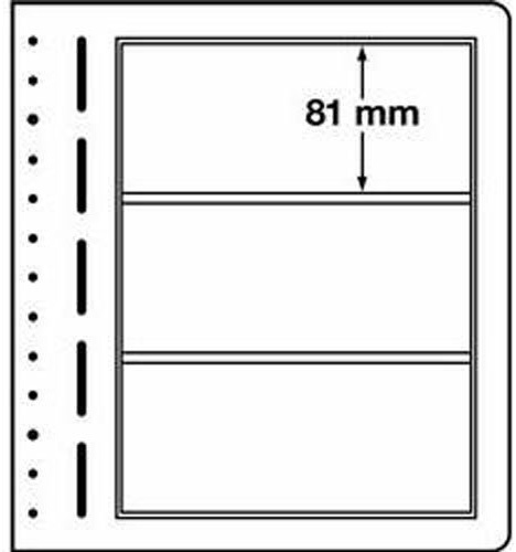 Leuchtturm 307865 Blankoblätter für Sammelalben - 3er Einteilung im 190 x 81 mm Format - 10er Pack