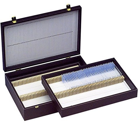 neoLab Kasten für 200 76mm x 26mm Standard Objektträger, 2 Etagen, 285mm x 197mm x 80mm