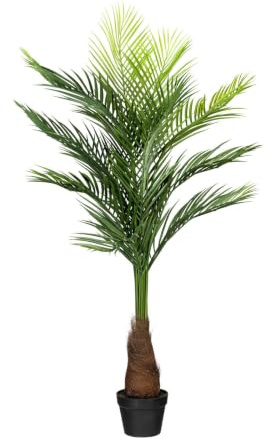 Pflanzen Kölle Kunstpflanze Goldfruchtpalme, Höhe ca. 140 cm
