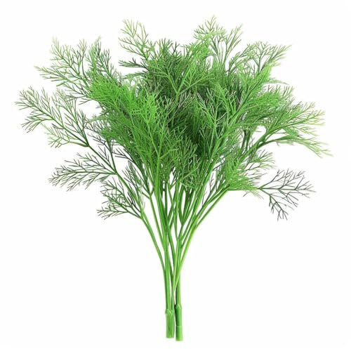 Semisauvage Permaculture