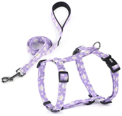 Dog Harness Leash Set, No Pull Adjustable Halter Cute Comfort Padded Handle for Medium Sized Large Small Dogs Walking Training Running with Reflective（XSmall,Purple）