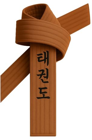 TEKKA BUDO Taekwondo Gürtel Braun bestickt - TKD Schriftzeichen koreanisch - Braungurt mit Kanji Bestickung