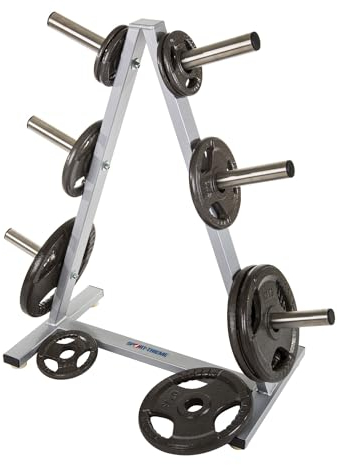 Sport-Thieme Hantelscheiben Ablageständer | Edelstahl-Dorne je 100 kg belastbar | Für 27.4 31 mm o. 50 mm Scheiben | Stahl | Gummifüße | Silber | 78x45x100 cm