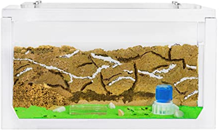 AntHouse - Ameisenfarm mit Ameisen Starterset | 3D Ameisenfarm 20x10x10 cm Weiß | Ameisen inklusive